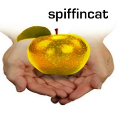 spiffincat