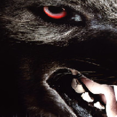 monster hip hop beatz