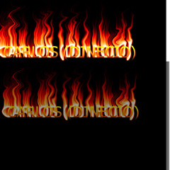 Carlos Dominguezpereyra