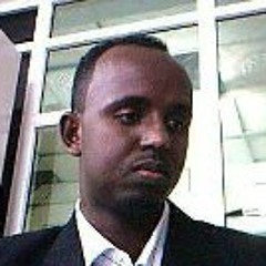 Mohamed M. Awale
