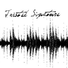 Twisted Signature