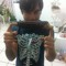 teo_na_nacatl