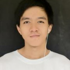 Jhon Michael Felismino