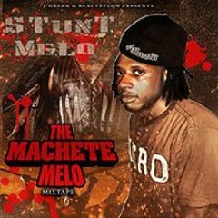 Stunt Melo