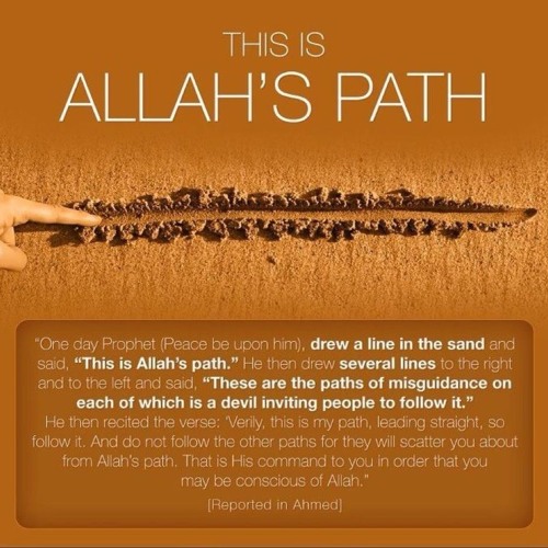 The Path Of Allah’s avatar