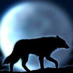Xose Wolf