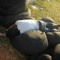 TomGenge