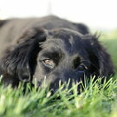 Eugen Kronplatz Ellemunt