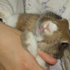 Christine Skarmoutsou