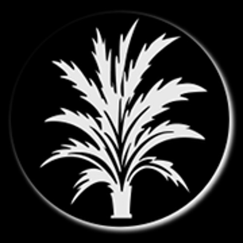Palm-Studio’s avatar