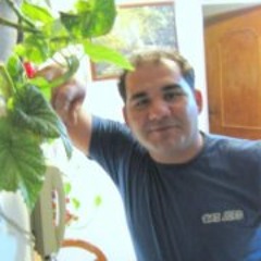 Bahram Karkoudi