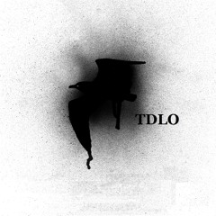 The Daylight Orchestra