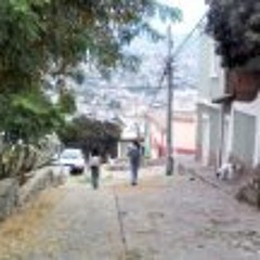 Constanza Rojas Alten