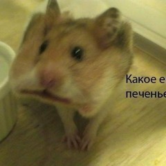 aleks2012