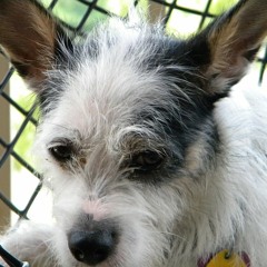 Susan Hadvabne Thompson