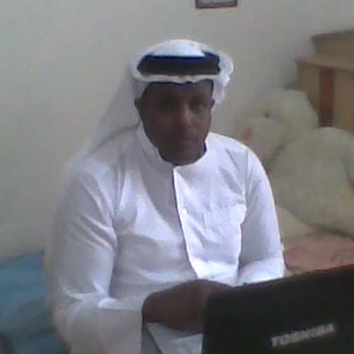 محمد صلاح الدين موسى خليل’s avatar