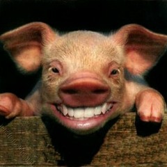 DJ-PORKY
