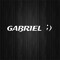 GABRIEL LAGOS