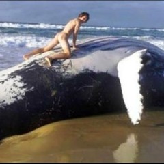 TheCampbellRhodeMassacre