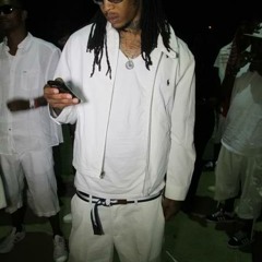 CHEETO GAMBINE 'HEFFE'