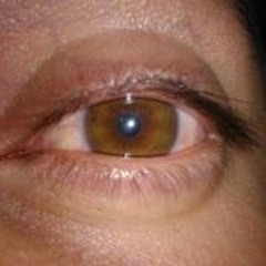 Sorchuga Cerna Fraustro