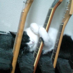 ZAKI
