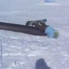 Carlos Nicolás Matías