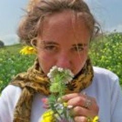 Celestial Triquetra Trip