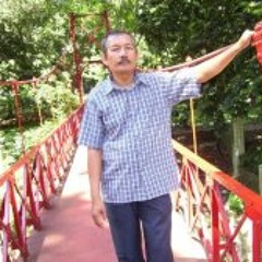 Iswandi Syafei