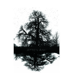 Atten Ash