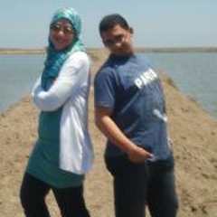 Reem Reda El-demery