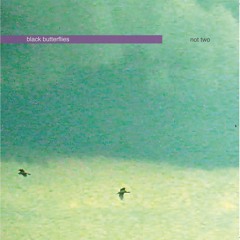 Black Butterflies