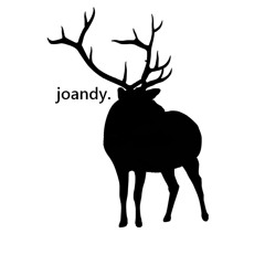 joandy.