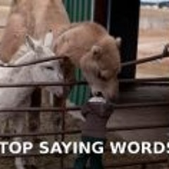 Steve Handly-The Diplomat