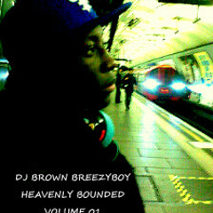 dj brown breezyboy