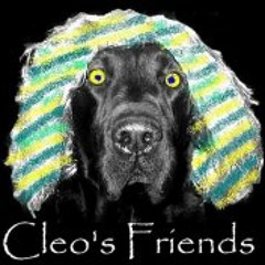 cleosfriends