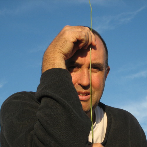 In The Wee Small Hours