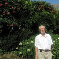 Robert Latulippe