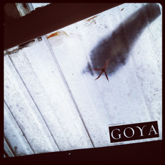 Goya IQ