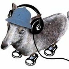 hackbartHH