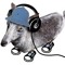 hackbartHH