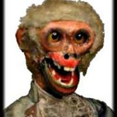 Johnny Valentine Shbaz