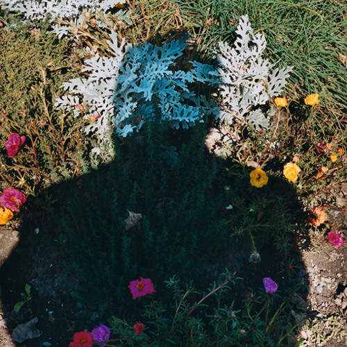 Deportees - A New Name To Go By (Ft. Lykke Li)