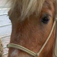 user4869642