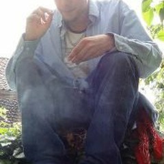 reedy showbie