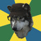 pygmywolf