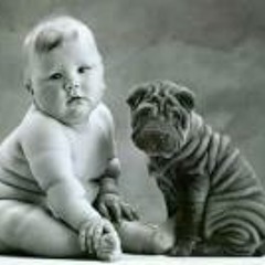 nilar.emma@gmail.com