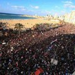 Hassan Gamal 2