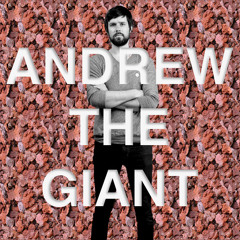 ANDREW THE GIANT
