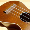 ukulele-lady-11022014-waggong-ukulele-ensembles